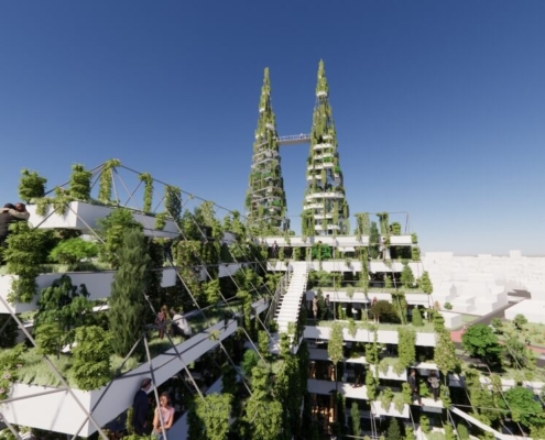 Roofwalk van de Groene Kathedraal